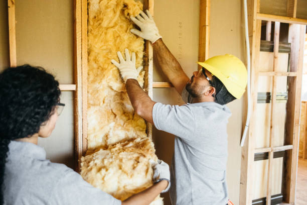 Best Spray Foam Insulation  in North New Hyde Park, NY