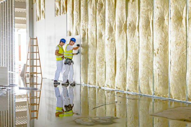 Best Spray Foam Insulation  in North New Hyde Park, NY